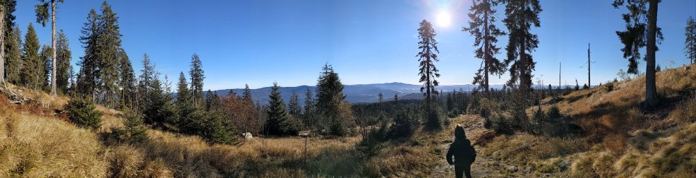 Bayerischer Wald