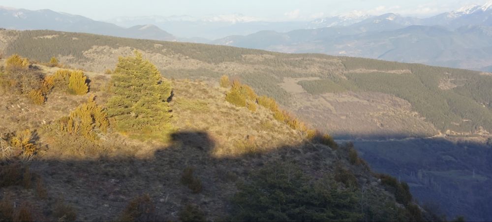 2024 – Fahrt in den Frühling – Frankreich Spanien